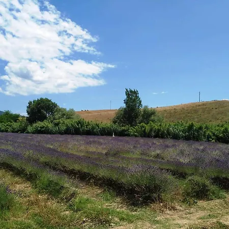 Le Due Civette 公寓 *