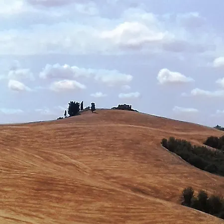 公寓 Le Due Civette *