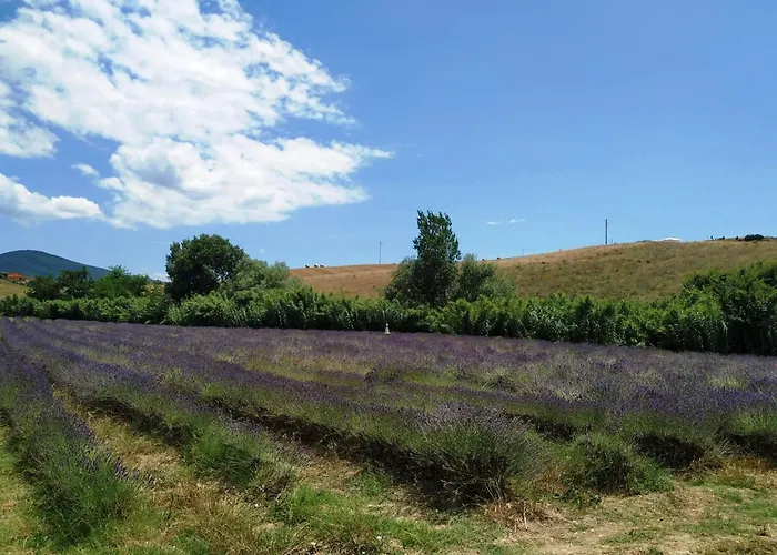 Le Due Civette 公寓 *