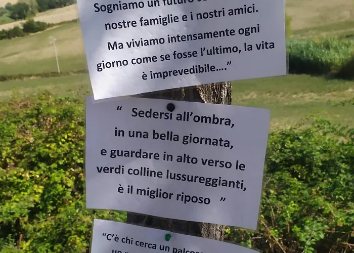 公寓 Le Due Civette *