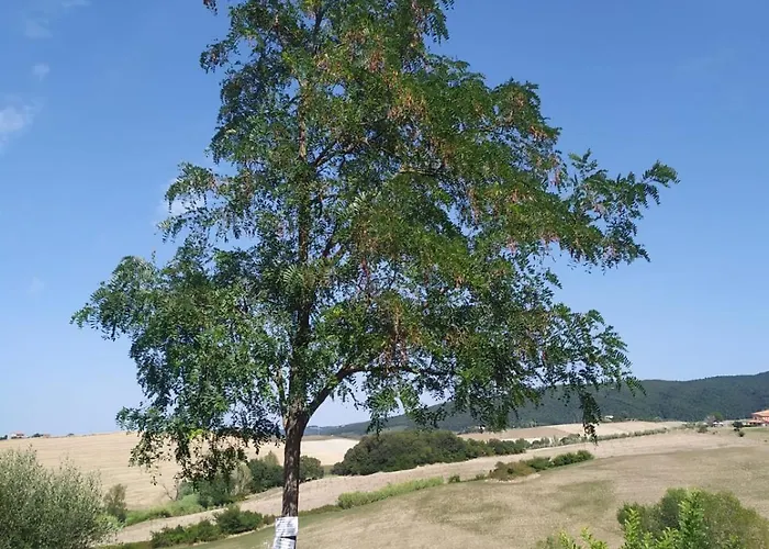 公寓 Le Due Civette *